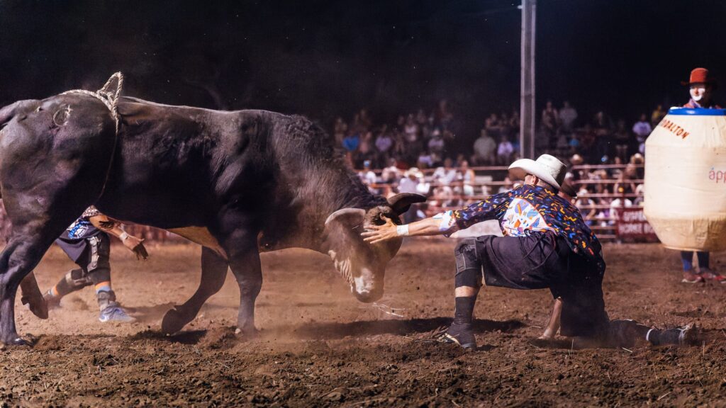 Can you Sue After Signing a Waiver?<br/></noscript>Lessons from Boxing and Bulls