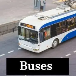 White and blue bus