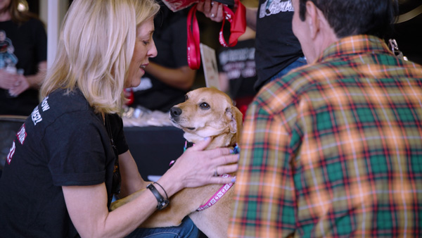 Lou Adopts 4th Annual Mega Adoption Event