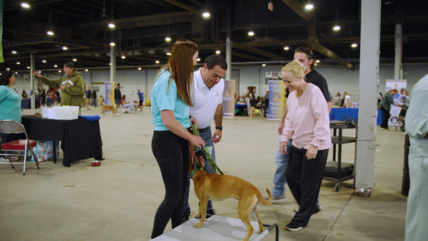 Lou Adopts 4th Annual Mega Adoption Event